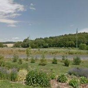 obrazek: avatar PENZION MUZIKA