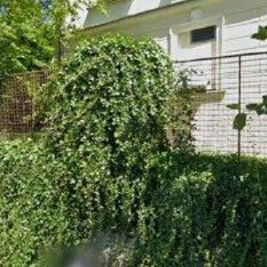 obrazek: avatar RADNIČNÍ RESTAURACE