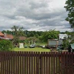 obrazek: avatar CHADIM DAVID-KANAK