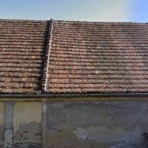 obrazek: avatar VÁŠŮV MLÝN U MILEVSKA