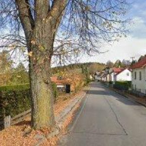 obrazek: avatar PENZION NA ŠUMAVĚ-U ČERNÉHO KOHOUTA