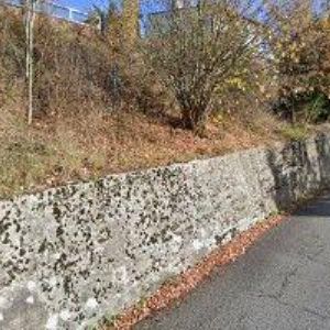 obrazek: avatar OLLÉ ROBERT