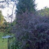 CEDERIKA UBYTOVÁNÍ