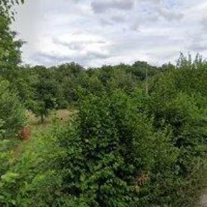 obrazek: avatar RK CENTRUM , s.r.o.