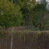 IN MARKEN-PENSION & CAMPING