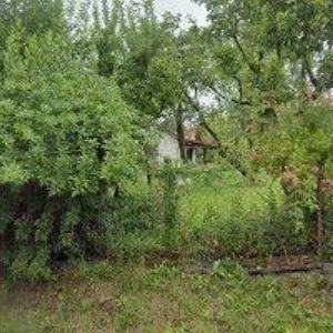 obrazek: avatar RESTAURACE ČESKÝ MLÝN