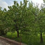 MŠ Boršov nad Vltavou