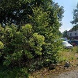 obrazek: avatar PENZION DIANA