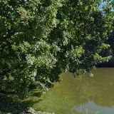 PENZION MLÝN U SVATÉHO VÍTA