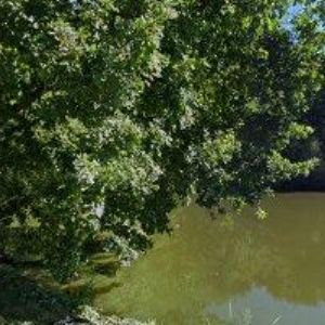 obrazek: avatar PENZION MLÝN U SVATÉHO VÍTA