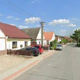 RADOSTOVÁ ALENA-KEMP