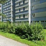 GANDALF-BACH TOMÁŠ