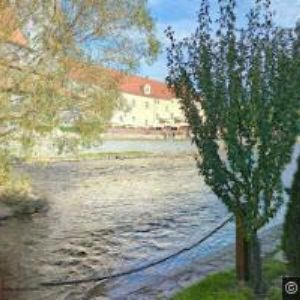 obrazek: avatar KRČMA U DWAU MARYÍ