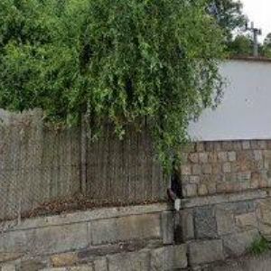 obrazek: avatar ŠAFRÁNEK MILOŠ