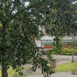 obrazek: avatar ŠLEJMAROVÁ HANA