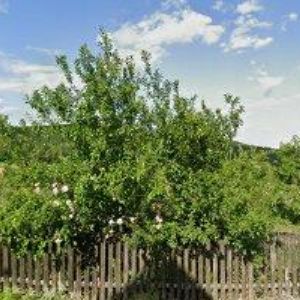 obrazek: avatar POHODA PENZION