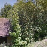 APARTMÁNY DOBRÁ VODA