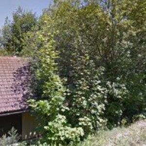 obrazek: avatar APARTMÁNY DOBRÁ VODA