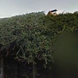 LESNÍ PENSION s.r.o.