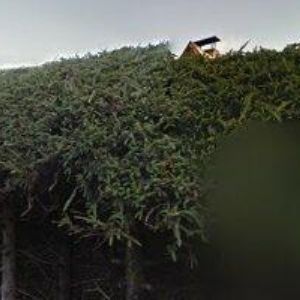 obrazek: avatar LESNÍ PENSION s.r.o.