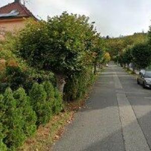 obrazek: avatar PENZION MANHATTAN PÍSEK