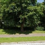 KLUB MALÝCH PIVOVARŮ