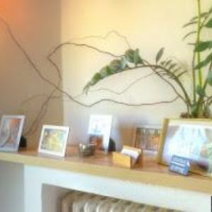 obrazek: avatar PENSION LIBRA