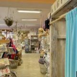 MEŠKANOVÁ MIROSLAVA