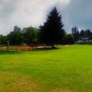 obrazek: avatar KUPEC FRYMBURK s.r.o.