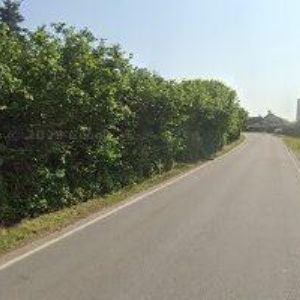 obrazek: avatar RESTAURACE EDEN