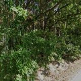 MADĚROVÁ DANA-UBYTOVÁNÍ