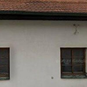 obrazek: avatar VINOTÉKA U ČERNÉHO KOCOURA A ZELENÉHO STROMU