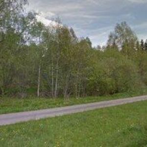 obrazek: avatar MAURITZ PENZION