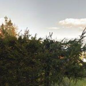 obrazek: avatar APARTMÁNY ERNESTA CLUB LIPNO