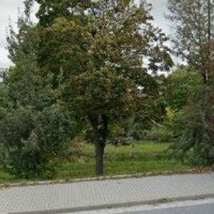 obrazek: avatar PIZZERIE PANSKÝ ŠENK