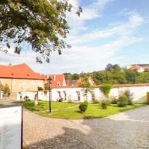 obrazek: avatar BOŽOŇOVÁ ERIKA