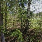 CHATA, PENZION KRASNĚVES