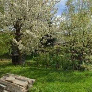 obrazek: avatar HARUSÁK PENZION