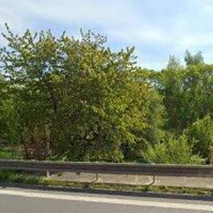 obrazek: avatar HOTEL BÝK