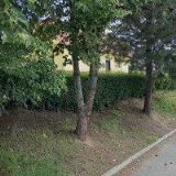 ŽELIV RESTAURACE A KULTURNÍ DŮM