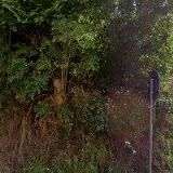 LEŠKOVÁ VLADIMÍRA