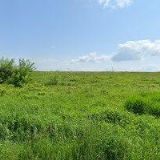 MEDOVÁ MARCELA Ing.