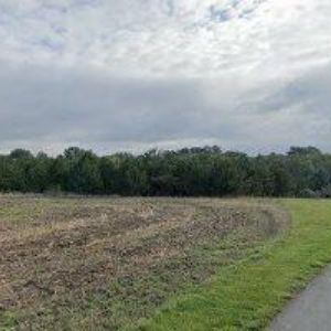 obrazek: avatar STOKLASOVÁ ROMANA