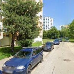 obrazek: avatar PAVELKOVÁ JANA