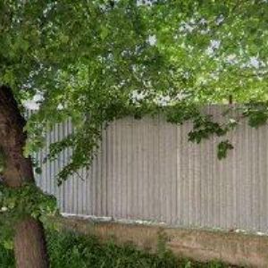 obrazek: avatar CORNUS