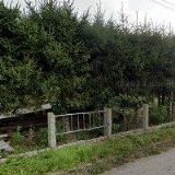 TIPPLOVÁ ROMANA Ing.