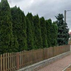 obrazek: avatar BÍLEK PETR