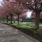 VOGELTANZ JIŘÍ-REALITNÍ A ZPROSTŘEDKOVATELSKÉ SLUŽBY