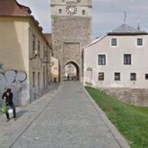 obrazek: avatar ZAMASTILOVÁ PETRA