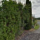 ROUBÍNKOVÁ VLADIMÍRA